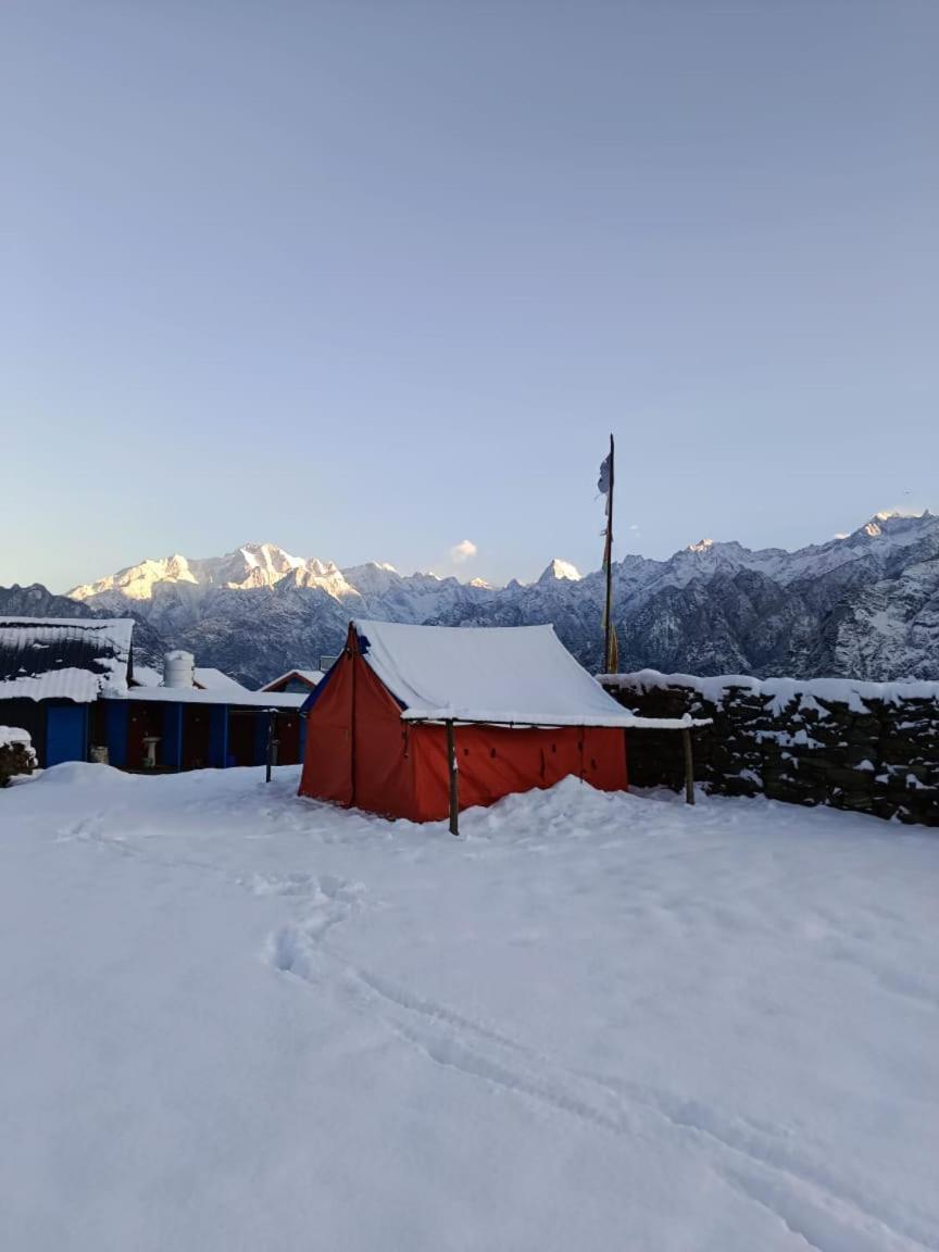 Hotel Himalayanbuddhaadventureaulicamp Joshīmath Exteriér fotografie
